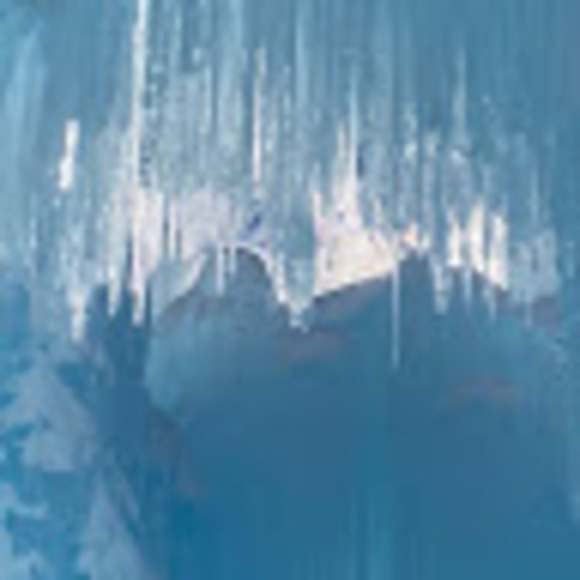 Meet your Posher, Lily - Picture 1 of 1